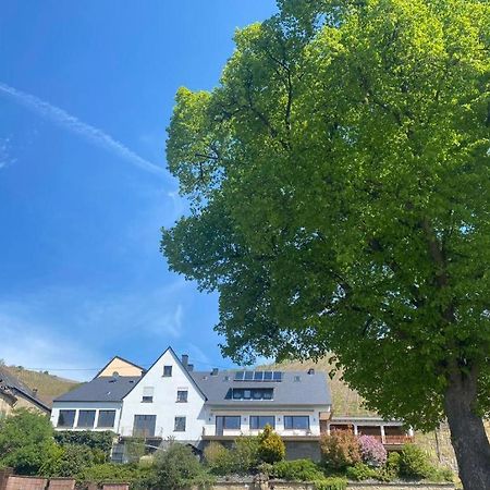 Chateau-De-La-Moselle Kinheim Zewnętrze zdjęcie