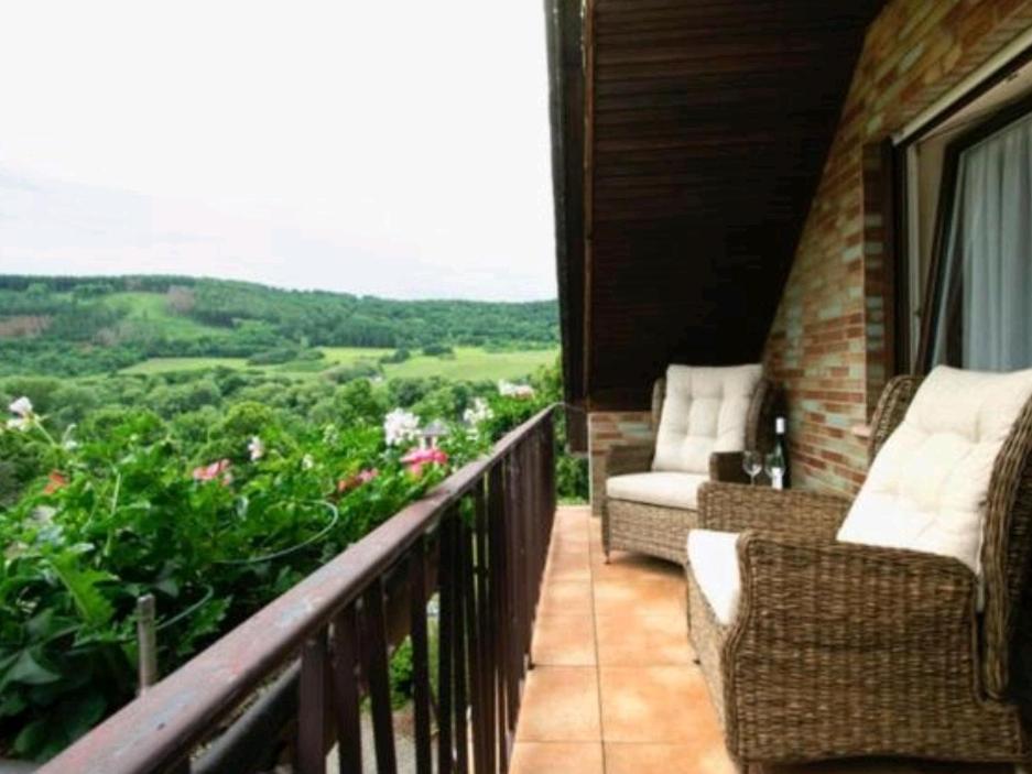 Chateau-De-La-Moselle Kinheim Zewnętrze zdjęcie