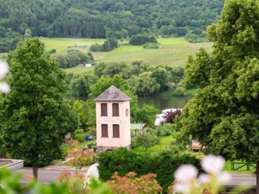 Chateau-De-La-Moselle Kinheim Zewnętrze zdjęcie
