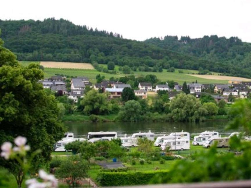 Chateau-De-La-Moselle Kinheim Zewnętrze zdjęcie