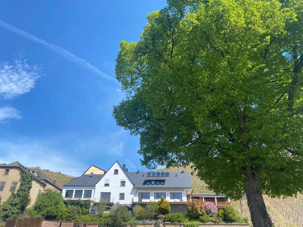 Chateau-De-La-Moselle Kinheim Zewnętrze zdjęcie